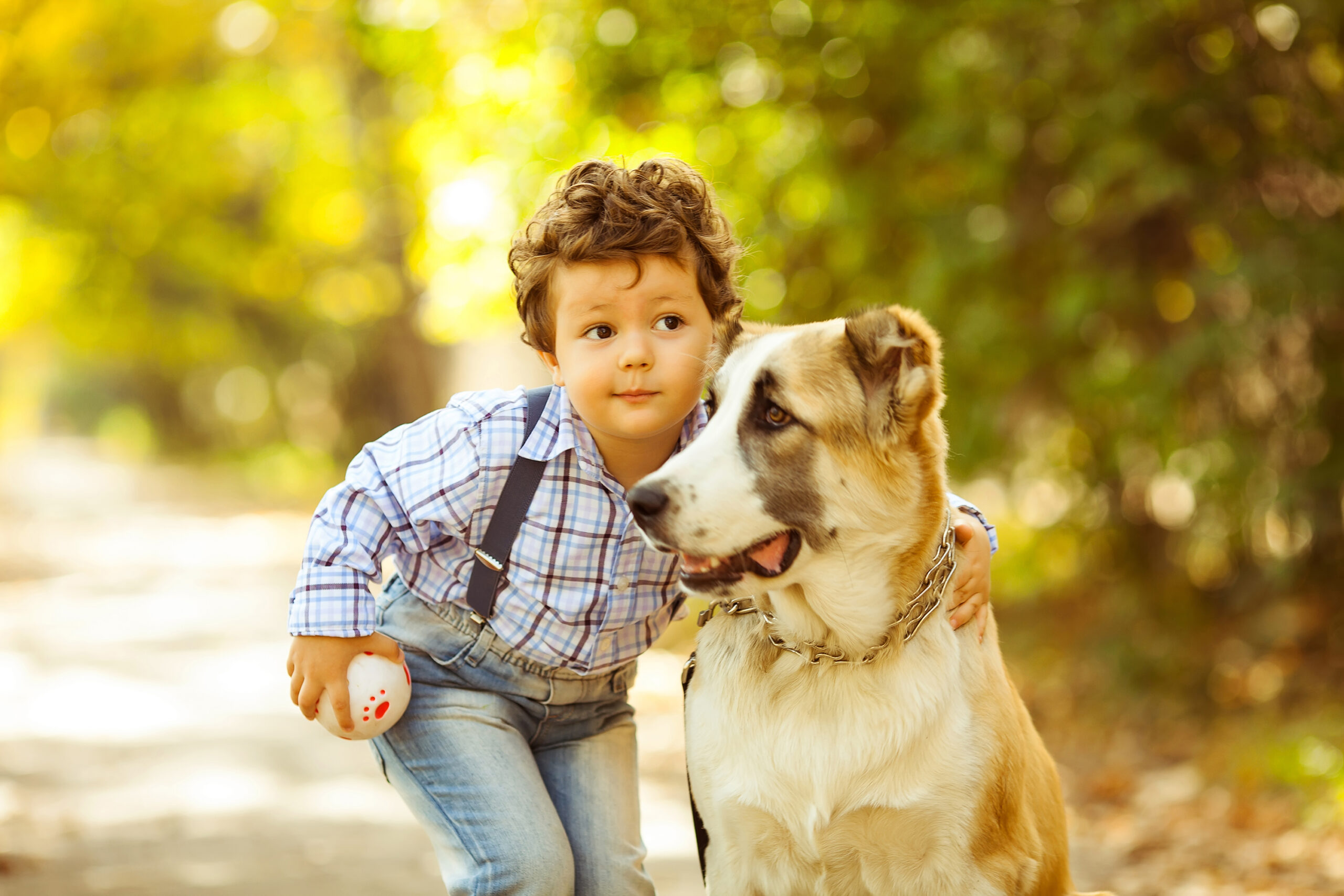 Young boy with suspenders and curly brown har posing with large dog